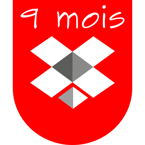 9-Monatsabo