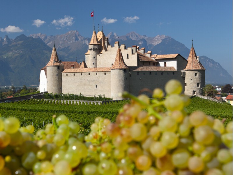 Offre Musée de la vigne et du vin Aigle