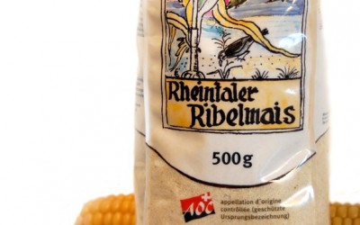Rezepte mit Rheintaler Ribelmais